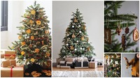 Zdroj: Pinterest